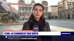 Élections européennes: camouflet pour les verts à Lyon