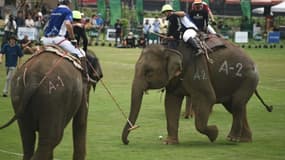 Des joueurs de polo à dos d'éléphants à Bangkok, le 10 mars 2016