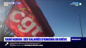 Saint-Auban: des salariés d'Arkema en grève