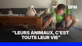 Incendies en Gironde: des élus viennent en aide aux animaux restés dans les villes évacuées