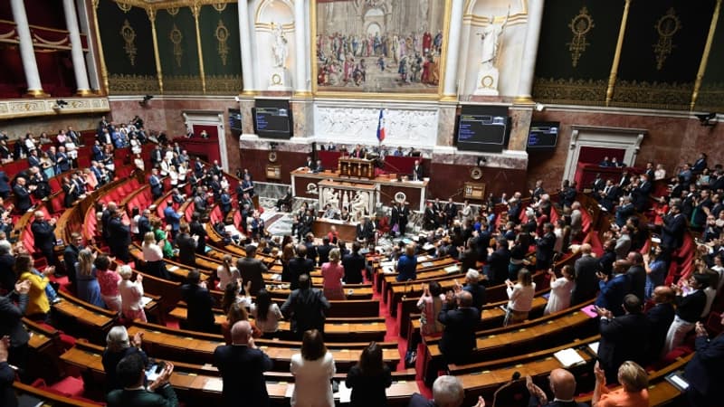 Un député de la majorité fait un salut nazi pour dénoncer le geste d'un "facho" à l'Assemblée nationale
