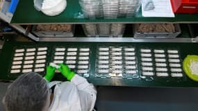Dans une usine de confection de tests de résistance aux antibiotiques, à Guipry (Ille-et-Vilaine), le 6 avril 2020 (image d'illustration)
