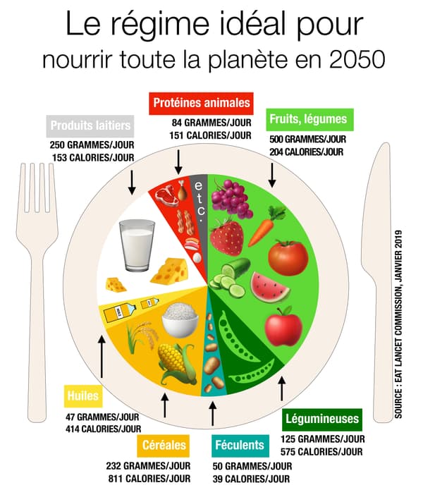 Infographie sur le "régime idéal" en 2050.
