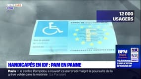 Handicap: les couacs du PAM francilien