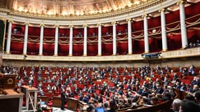 Séance du 5 janvier 2022 à l'Assemblée nationale. 