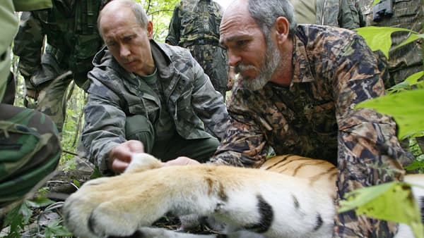 Vladimir Poutine soigne un tigre, en août 2008. 