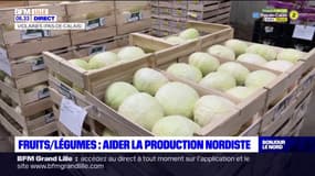 Hauts-de-France: les difficultés rencontrées par les maraîchers