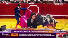 C'est votre avis : Corrida, maltraitance animale ou tradition ? - 24/11