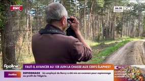 Faut-il avancer la chasse au cerf au 1er juin? 