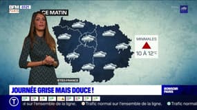 Météo Paris-Ile de France du 31 janvier: Journée grise mais douce