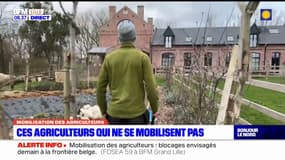 "On se sent un peu moins légitime que les grosses fermes": ces agriculteurs nordistes qui ne se mobilisent pas