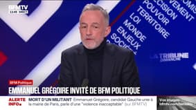 "Je préfère que le sport professionnel finance le sport de proximité", Emmanuel Grégoire, député PS, faborVente du parc des Pricnes au PSG: