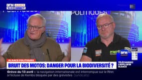 Massif des Vosges: "des mesures structurelles" doivent être prises selon SOS Massif des Vosges