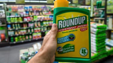 Une bouteille de RoundUp, produit de Monsanto contenant du glyphosate, un herbicide au coeur d'une controverse en Europe, le 15 juin 2015 dans une jardinerie de Lille.