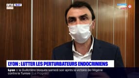 Écologie: la Ville de Lyon s'engage contre les perturbateurs endocriniens