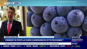 David Chatillon: la filière champagne française va terminer l'année "à moins 20% en volumes"