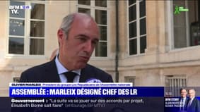 Olivier Marleix, élu d'Eure-et-Loir, désigné président du groupe LR à l'Assemblée nationale