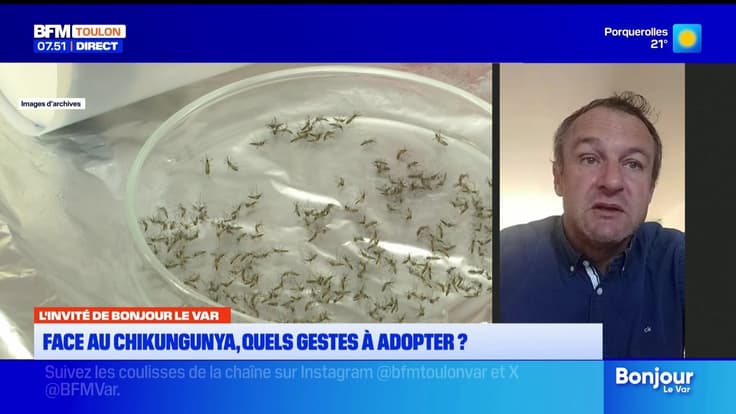 L'invité de Bonjour Var du jeudi 11 septembre 2025 - Thomas Margueron