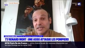 Seine-et-Marne: un renard mort sur une route, une association porte plainte contre les pompiers