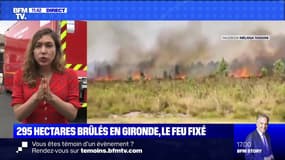 295 hectares brûlés en Gironde, le feu fixé - 28/07