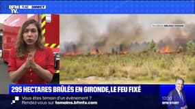 295 hectares brûlés en Gironde, le feu fixé - 28/07