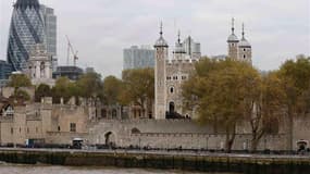 La police britannique a ouvert une enquête afin de déterminer comment un homme a pu s'introduire dans la Tour de Londres et voler un jeu de clés du monument historique qui abrite les joyaux de la couronne. /Photo prise le 13 novembre 2012/REUTERS/Olivia H
