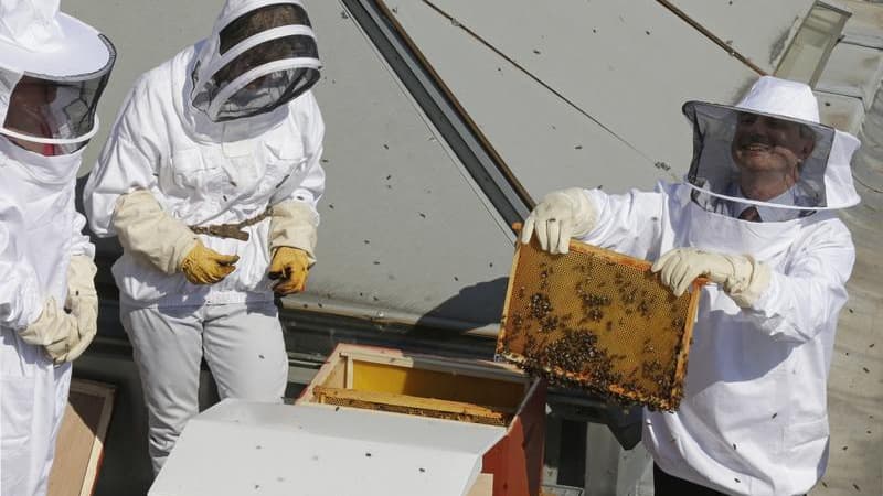 Le président de l'Assemblée nationale Claude Bartolone (à droite), lors de l'installation de trois ruches sur les toits du "Palais Bourdon", en avril dernier. Le miel produit par ces abeilles a été recueilli la semaine dernière et la première mise en pot