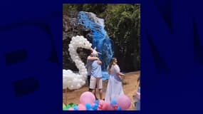 Le couple a découvert qu'il attendait un garçon en teignant une cascade en bleu