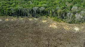 Une zone de déforestation de la forêt amazonienne à Sinop, dans l'Etat brésilien du Mato Grosso, le 7 août 2020