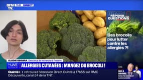 Les brocolis nous aident-ils à combattre les allergies cutanées? BFMTV répond à vos questions