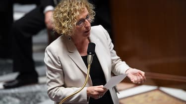 La ministre du Travail Muriel Pénicaud.