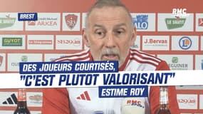 Brest : Des joueurs courtisés, "c'est plutôt valorisant" estime Roy