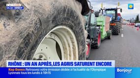 Rhône: un an après, les agriculteurs remobilisés