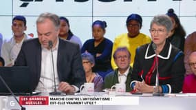 " Le gouvernement joue la carte de l'instrumentalisation avec cette question de l'antisémitisme pour discréditer les gilets jaunes ! "