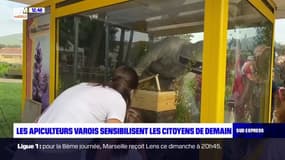 Var: les apiculteurs du département sensibilisent les jeunes