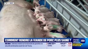 Agroalimentaire: comment rendre la viande de porc plus saine ?