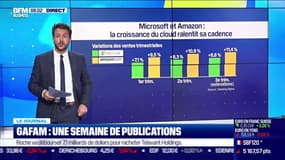 GAFAM: une semaine de publications