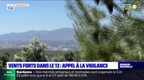 Vents forts dans le 13 : appel à la vigilence