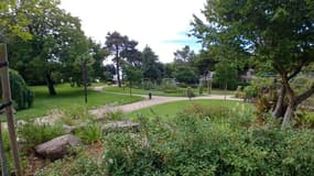 Le jardin des plantes de Rouen. 