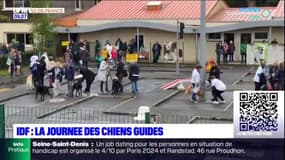 Île-de-France: la journée des chiens guides