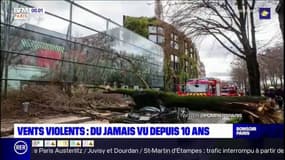Vents violents: un mort et plusieurs blessés à Paris