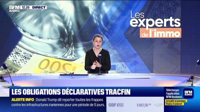 Les Experts de l'immo : Comment les agents immobiliers luttent contre le blanchiment d'argent ? - 23/03