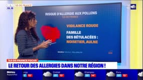 IDF Focus: les allergies sont de retour en Île-de-France