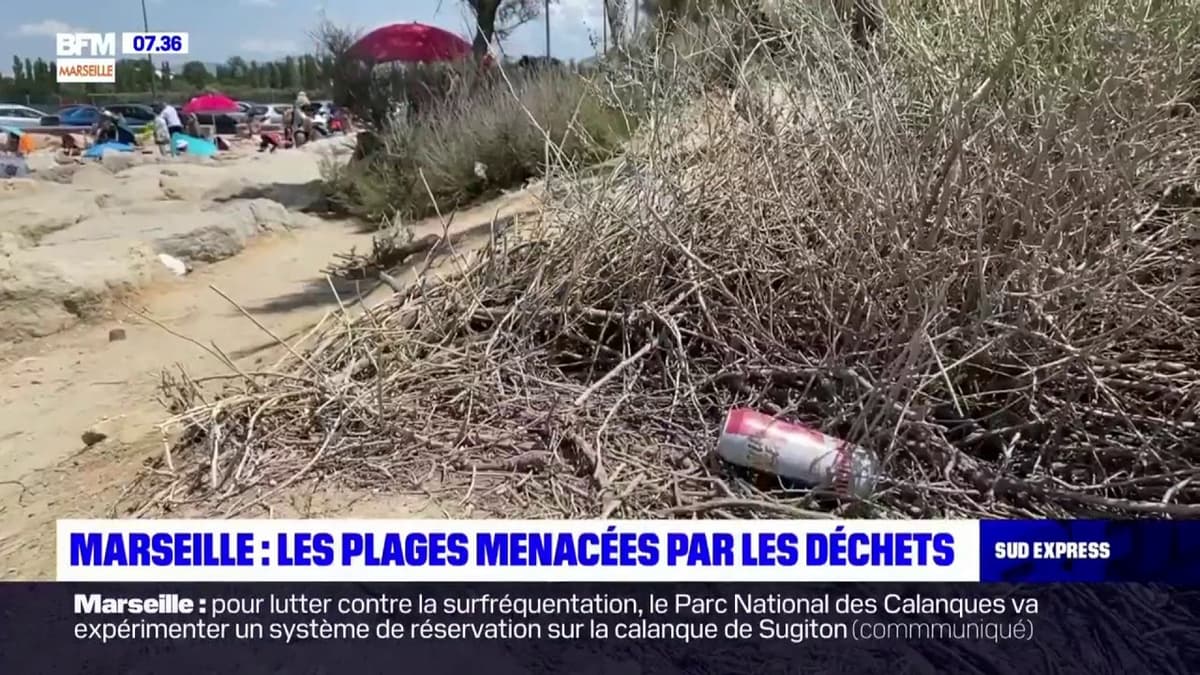 placeholder video