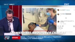 Elle devient une star de Tiktok en publiant une vidéo d'elle se mettant de la superglue dans les cheveux