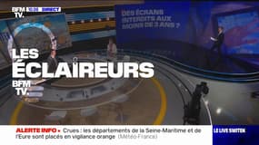 LES ÉCLAIREURS - Deux députés proposent de bannir les écrans pour les enfants de moins de 3 ans