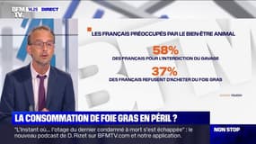 La consommation de foie gras en péril ? 