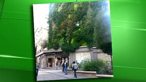 L'Oasis d'Aboukir dans le 2ème arrondissement: 250 m2 de verdure conçus par Patrick Blanc.