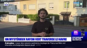 Le festival "Un été au Havre" prend ses quartiers, avec son rayon vert