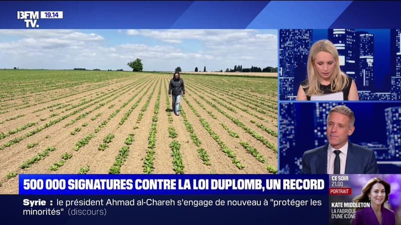 500 000 signatures contre la loi Duplomb, un record - 19/07